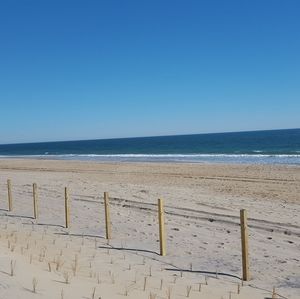 Meet your Posher, Jose fernando